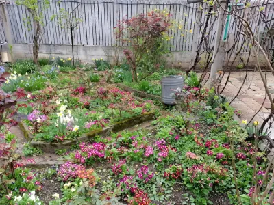 curte verde cu flori casa vanzare cumparare Sector 1 Bucuresti